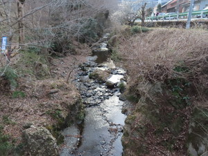 IMG_7165.jpg