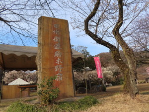 IMG_7170.jpg