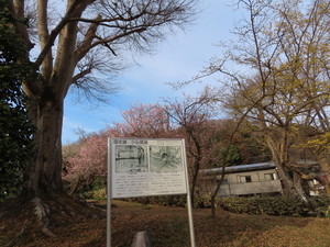 IMG_7171.jpg