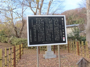 IMG_7173.jpg