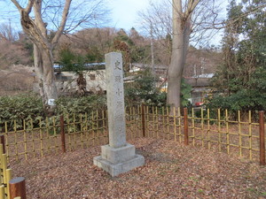 IMG_7174.jpg