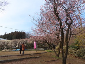 IMG_7177.jpg