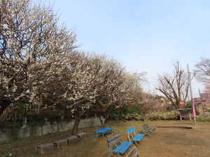 IMG_7179.jpg