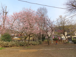 IMG_7180.jpg