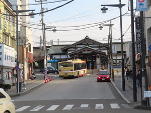 IMG_7181.jpg