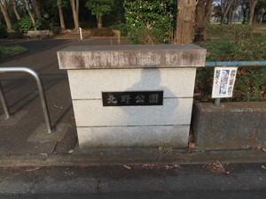 IMG_7219.jpg