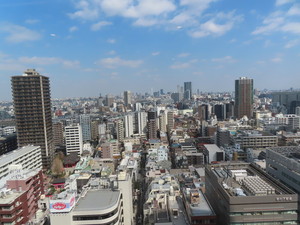 IMG_7254.jpg
