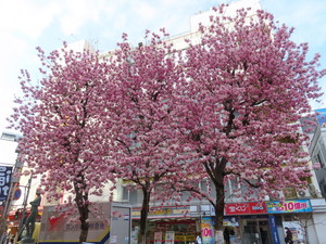 IMG_7275.jpg