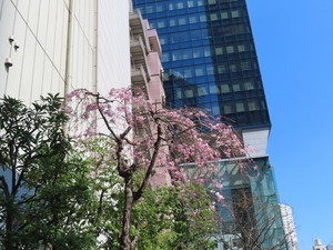 IMG_7278.jpg