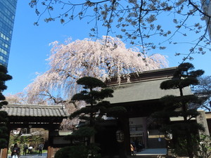 IMG_7285.jpg