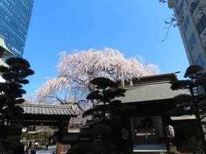 IMG_7286.jpg