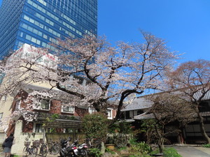 IMG_7290.jpg