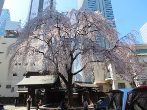 IMG_7293.jpg