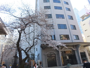 IMG_7294.jpg