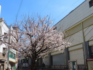 IMG_7297.jpg