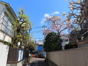 IMG_7298.jpg