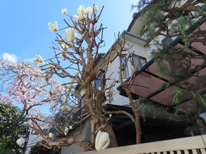 IMG_7299.jpg