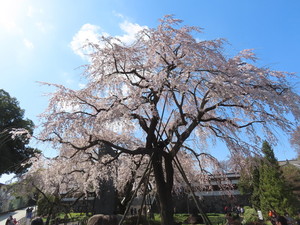 IMG_7307.jpg