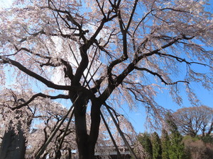 IMG_7308.jpg