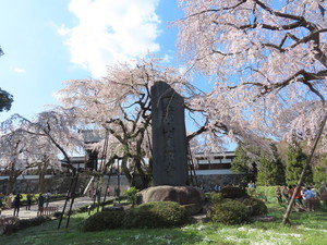 IMG_7310.jpg