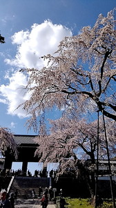 IMG_7310 (1).jpg