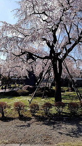 IMG_7310 (8).jpg