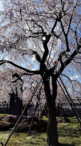 IMG_7310 (9).jpg