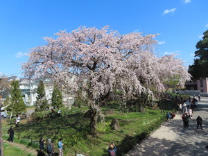 IMG_7315.jpg