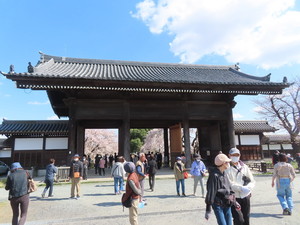 IMG_7316.jpg