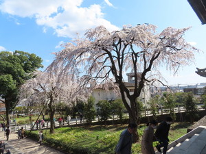 IMG_7319.jpg