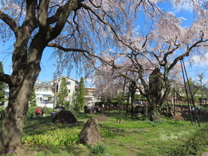 IMG_7321.jpg