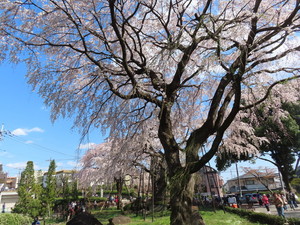 IMG_7323.jpg