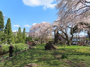 IMG_7324.jpg