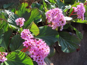 IMG_7328.jpg