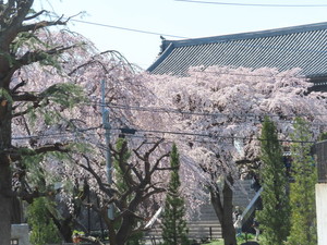 IMG_7332.jpg