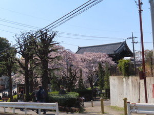 IMG_7334.jpg