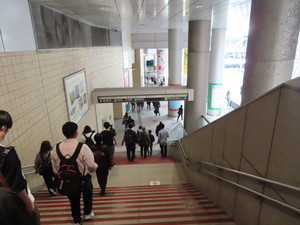 IMG_7344.jpg
