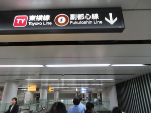 IMG_7348.jpg