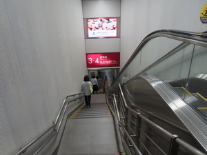IMG_7349.jpg