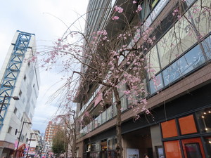 IMG_7355.jpg