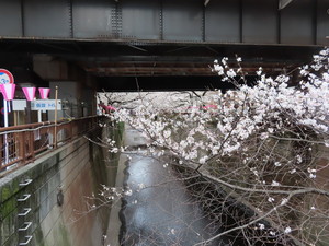 IMG_7357.jpg