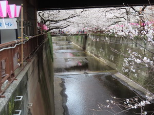IMG_7358.jpg