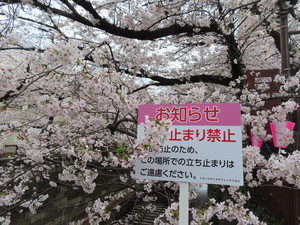IMG_7363.jpg
