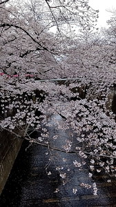 IMG_7371 (4).jpg