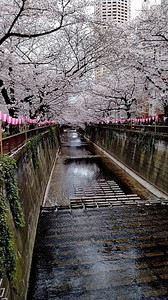 IMG_7371 (5).jpg