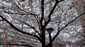 IMG_7371 (6).jpg
