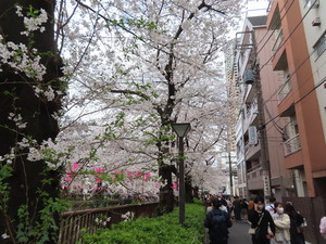 IMG_7373.jpg