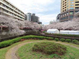 IMG_7375.jpg