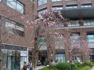 IMG_7376.jpg