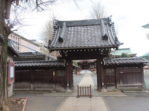 IMG_7378.jpg